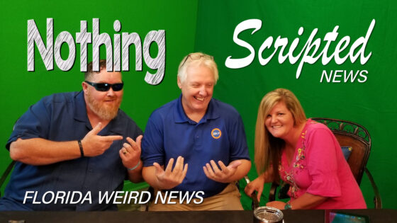 Network - Nothing Scripted News